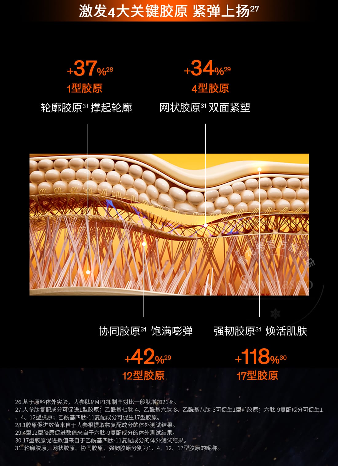 第六代 尊龙凯时(中国)人生就是搏人参霜